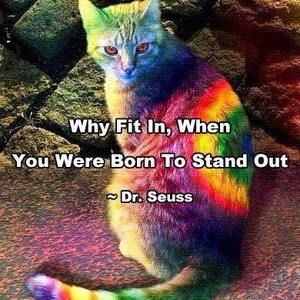 Meet your Posher, Kelli